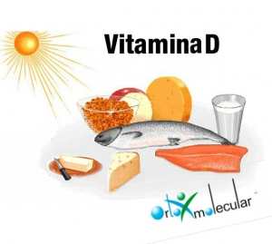 Alimentos-con-vitamina-D-1